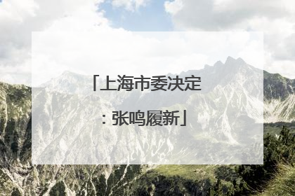 上海市委决定：张鸣履新