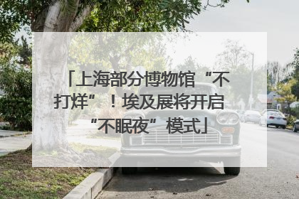 上海部分博物馆“不打烊”！埃及展将开启“不眠夜”模式