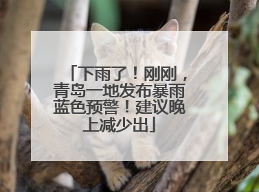下雨了！刚刚，青岛一地发布暴雨蓝色预警！建议晚上减少出