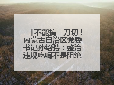 不能搞一刀切！内蒙古自治区党委书记孙绍骋：整治违规吃喝不是阻绝正常人际交往、黯淡人间烟火