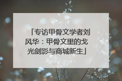 专访甲骨文学者刘风华：甲骨文里的戈光剑影与商城新生
