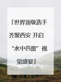 世界顶级选手齐聚西安 开启“水中芭蕾”视觉盛宴