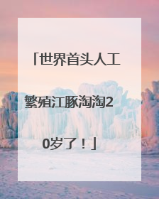 世界首头人工繁殖江豚淘淘20岁了！