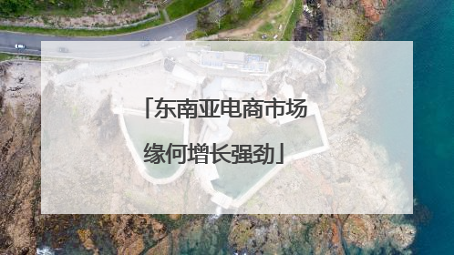 东南亚电商市场缘何增长强劲