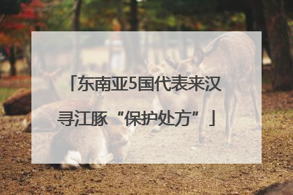 东南亚5国代表来汉寻江豚“保护处方”