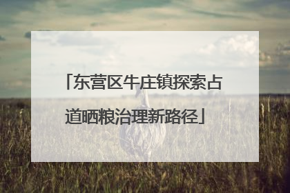 东营区牛庄镇探索占道晒粮治理新路径
