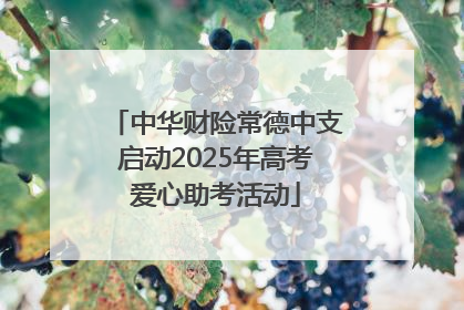 中华财险常德中支启动2025年高考爱心助考活动