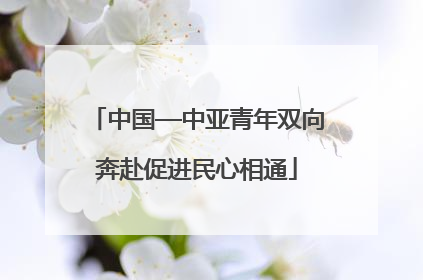 中国—中亚青年双向奔赴促进民心相通