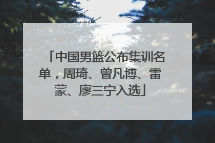 中国男篮公布集训名单，周琦、曾凡博、雷蒙、廖三宁入选