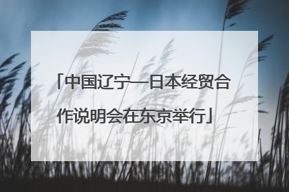 中国辽宁—日本经贸合作说明会在东京举行