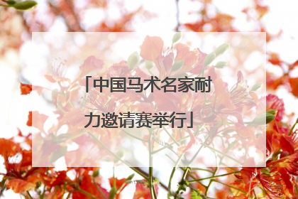 中国马术名家耐力邀请赛举行