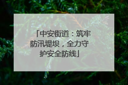 中安街道：筑牢防汛堤坝，全力守护安全防线