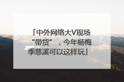 中外网络大V现场“带货”，今年杨梅季慈溪可以这样玩