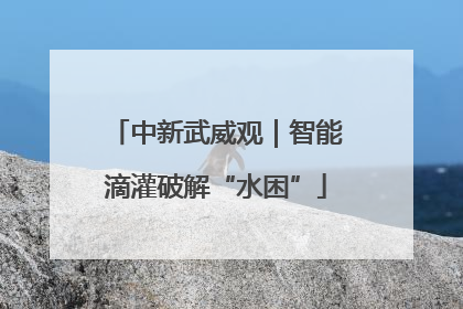 中新武威观｜智能滴灌破解“水困”