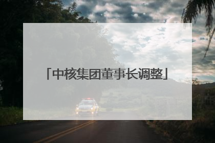 中核集团董事长调整