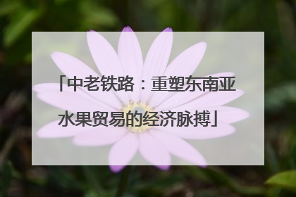 中老铁路：重塑东南亚水果贸易的经济脉搏