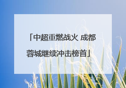 中超重燃战火 成都蓉城继续冲击榜首