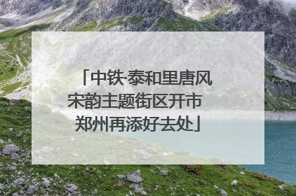 中铁·泰和里唐风宋韵主题街区开市 郑州再添好去处