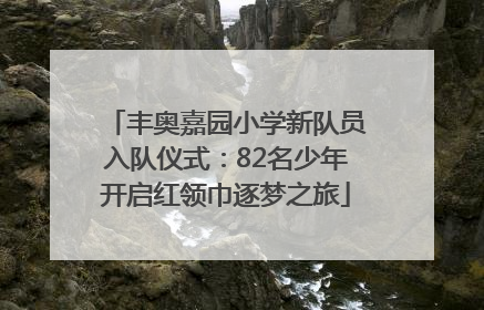 丰奥嘉园小学新队员入队仪式：82名少年开启红领巾逐梦之旅