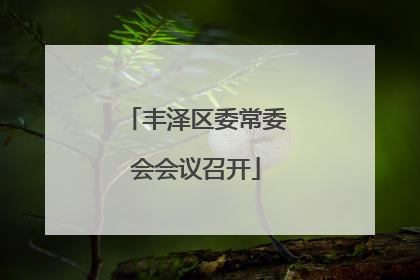 丰泽区委常委会会议召开