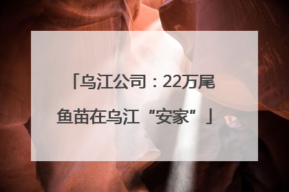 乌江公司：22万尾鱼苗在乌江“安家”