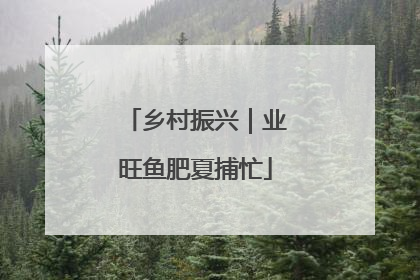 乡村振兴｜业旺鱼肥夏捕忙