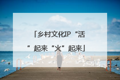 乡村文化IP“活”起来“火”起来