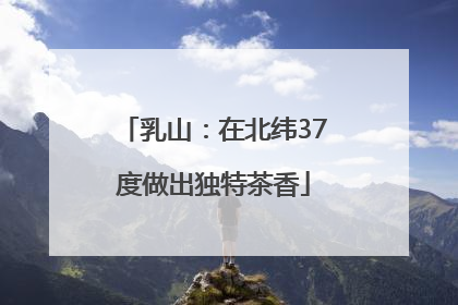 乳山：在北纬37度做出独特茶香
