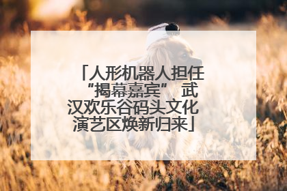 人形机器人担任“揭幕嘉宾” 武汉欢乐谷码头文化演艺区焕新归来