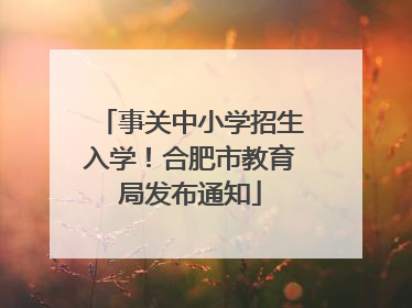 事关中小学招生入学！合肥市教育局发布通知