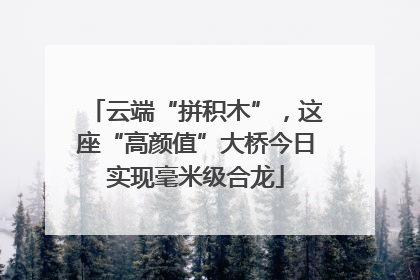 云端“拼积木”，这座“高颜值”大桥今日实现毫米级合龙