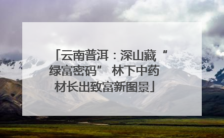 云南普洱：深山藏“绿富密码” 林下中药材长出致富新图景