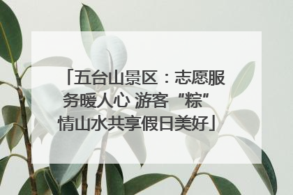 五台山景区：志愿服务暖人心 游客“粽”情山水共享假日美好