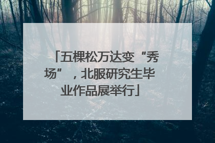 五棵松万达变“秀场”，北服研究生毕业作品展举行