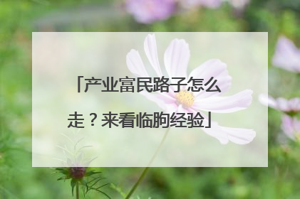 产业富民路子怎么走？来看临朐经验