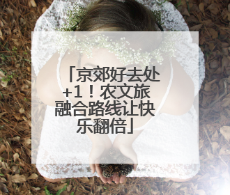 京郊好去处+1！农文旅融合路线让快乐翻倍