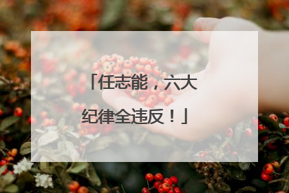 任志能，六大纪律全违反！