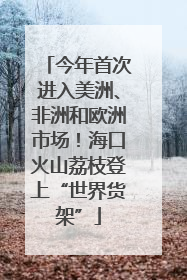 今年首次进入美洲、非洲和欧洲市场！海口火山荔枝登上“世界货架”