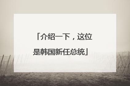介绍一下，这位是韩国新任总统