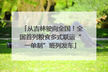 从吉林驶向全国！全国首列粮食多式联运“一单制”班列发车