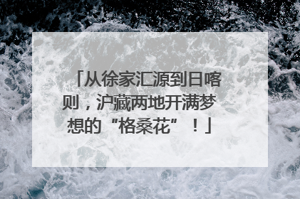 从徐家汇源到日喀则，沪藏两地开满梦想的“格桑花”！