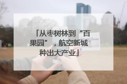 从枣树林到“百果园”，航空新城种出大产业
