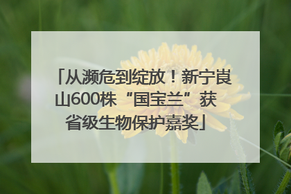 从濒危到绽放！新宁崀山600株“国宝兰”获省级生物保护嘉奖