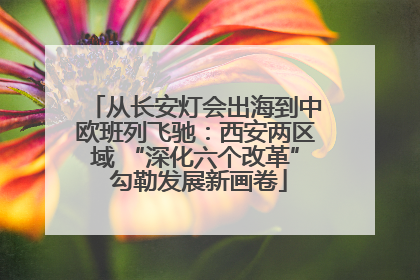 从长安灯会出海到中欧班列飞驰：西安两区域 “深化六个改革” 勾勒发展新画卷