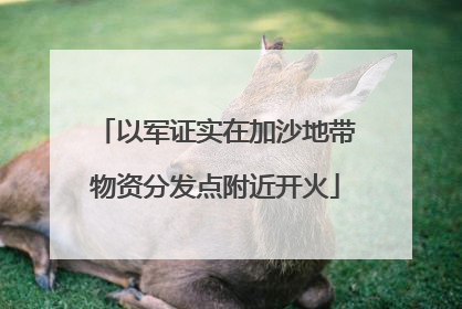 以军证实在加沙地带物资分发点附近开火