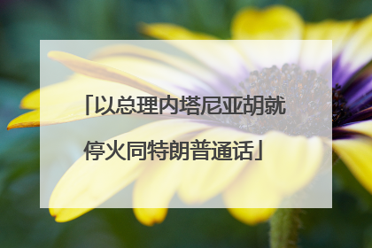 以总理内塔尼亚胡就停火同特朗普通话