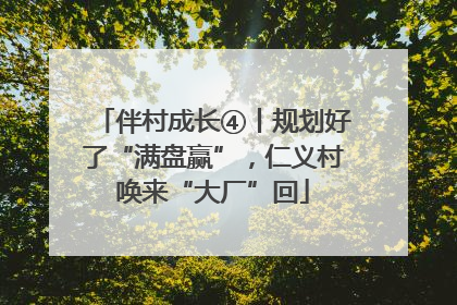 伴村成长④丨规划好了“满盘赢”，仁义村唤来“大厂”回