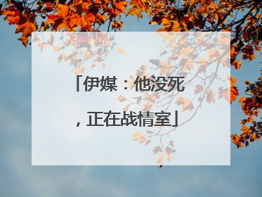 伊媒：他没死，正在战情室