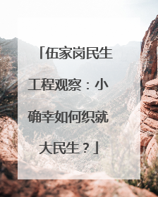 伍家岗民生工程观察：小确幸如何织就大民生？
