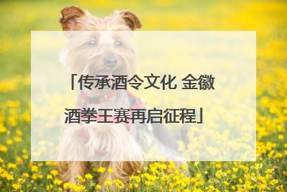 传承酒令文化 金徽酒拳王赛再启征程
